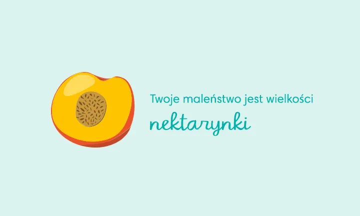 babydream vs pampers premium care wielkość