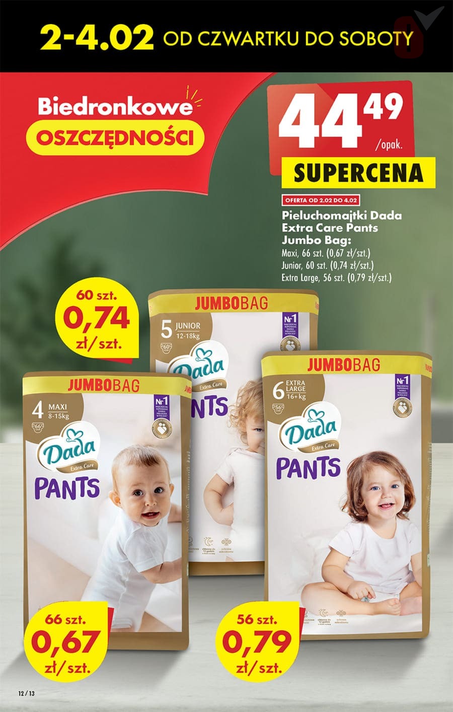 pampers 6 adult