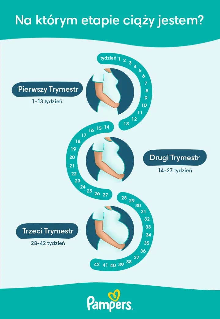 pampers newborn premium 1