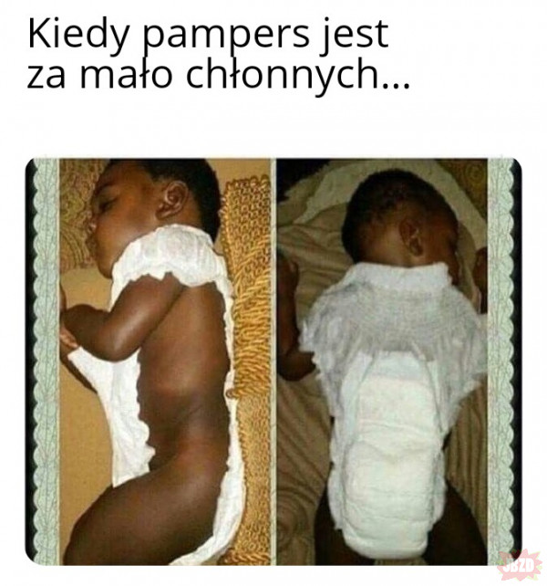 pampers 104