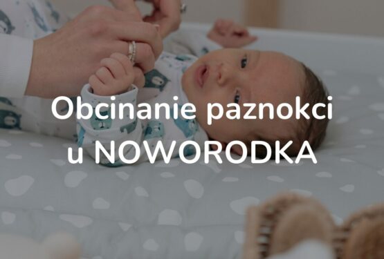 wirlorazkwe pieluchy dla psa