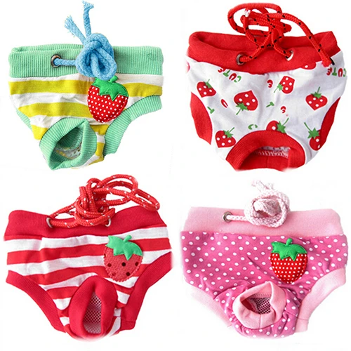 auchan pampers pants 5