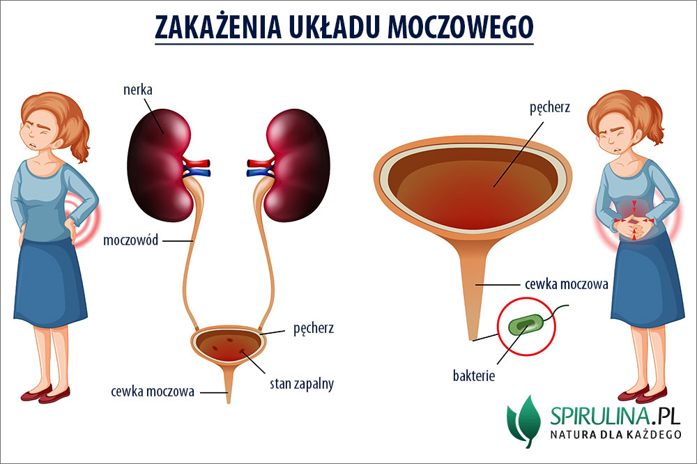 Akuku A0486 Dmuchana mata do zabawy w wodzie dla niemowląt