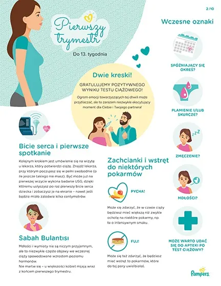 pampers premium care promocja cena