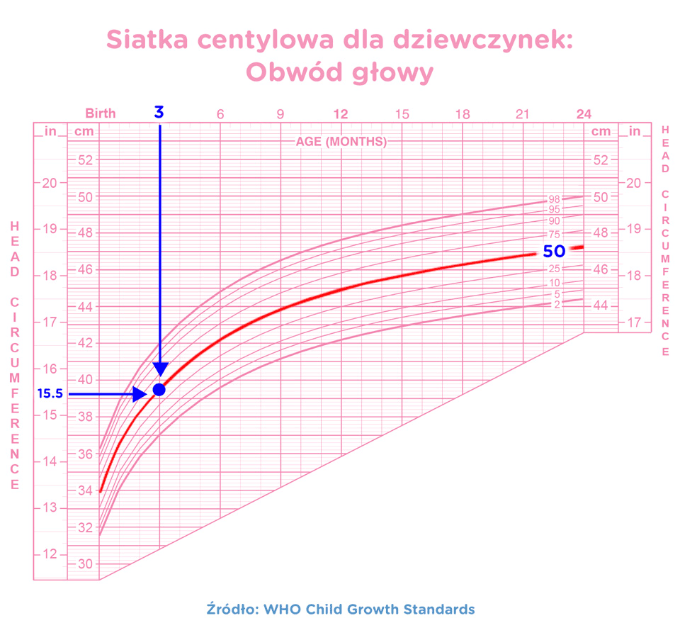 pieluchomajtki senior